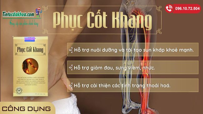 phuc-cot-khang-cong-dung